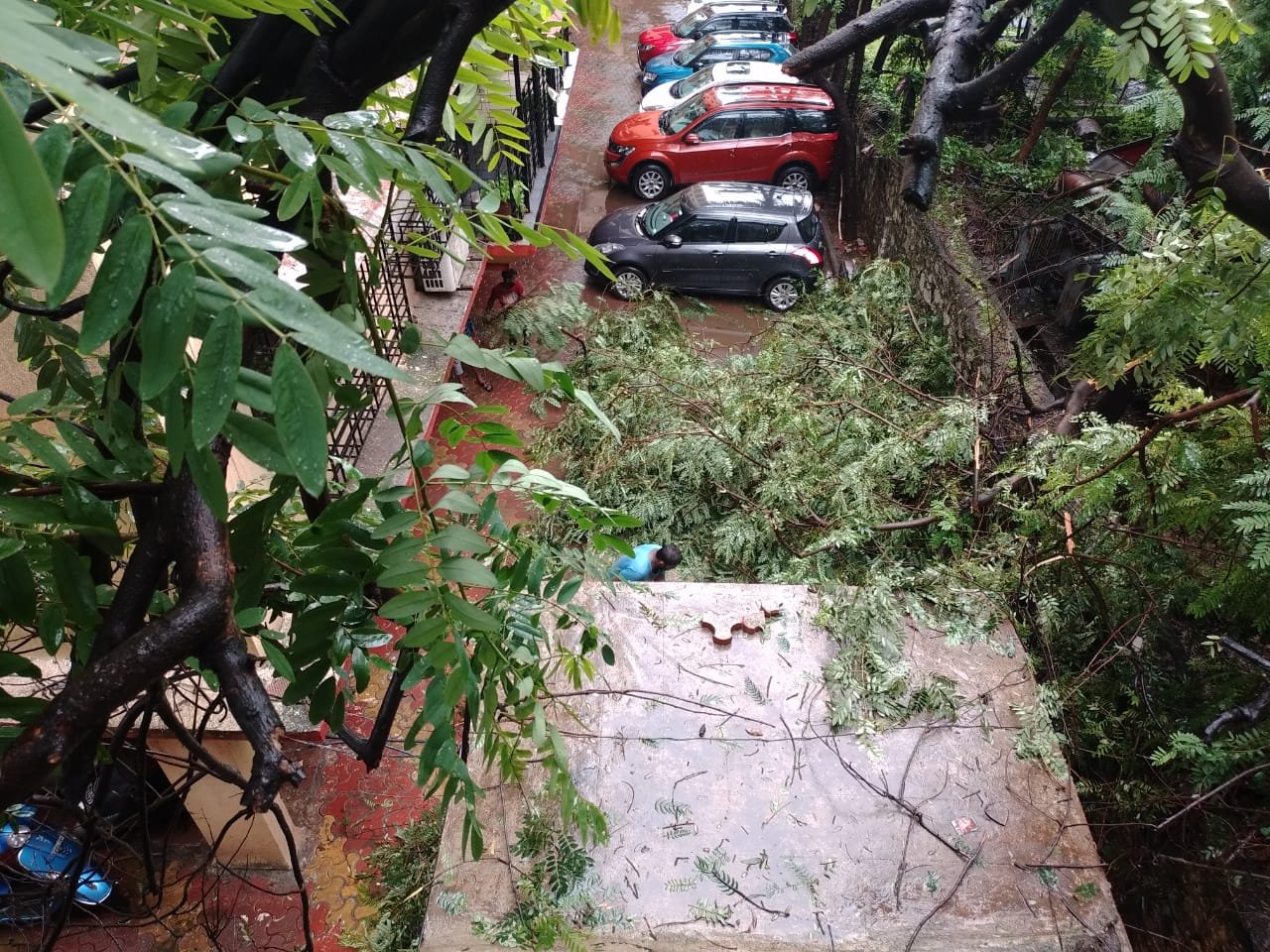 Adarsh Maharashtra | मुसळधार पाऊसात झाडाच्या फांद्या पडल्याने रहिवाशांच्या घराचे नुकसान