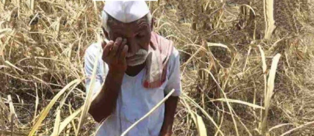 Adarsh Maharashtra | नुकसानग्रस्त शेतकऱ्यांची दिवाळी अंधारातच सरकारकडून मदतीच्या आश्वासनाची...