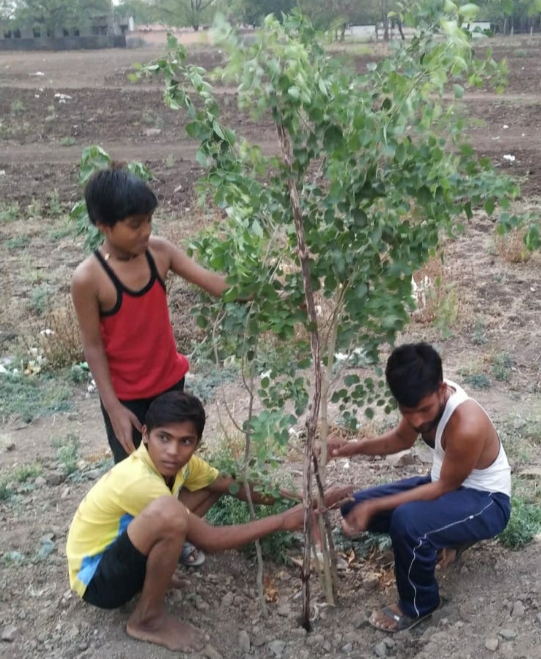 Adarsh Maharashtra | लाॅकडाऊन काळात भूरट्या...