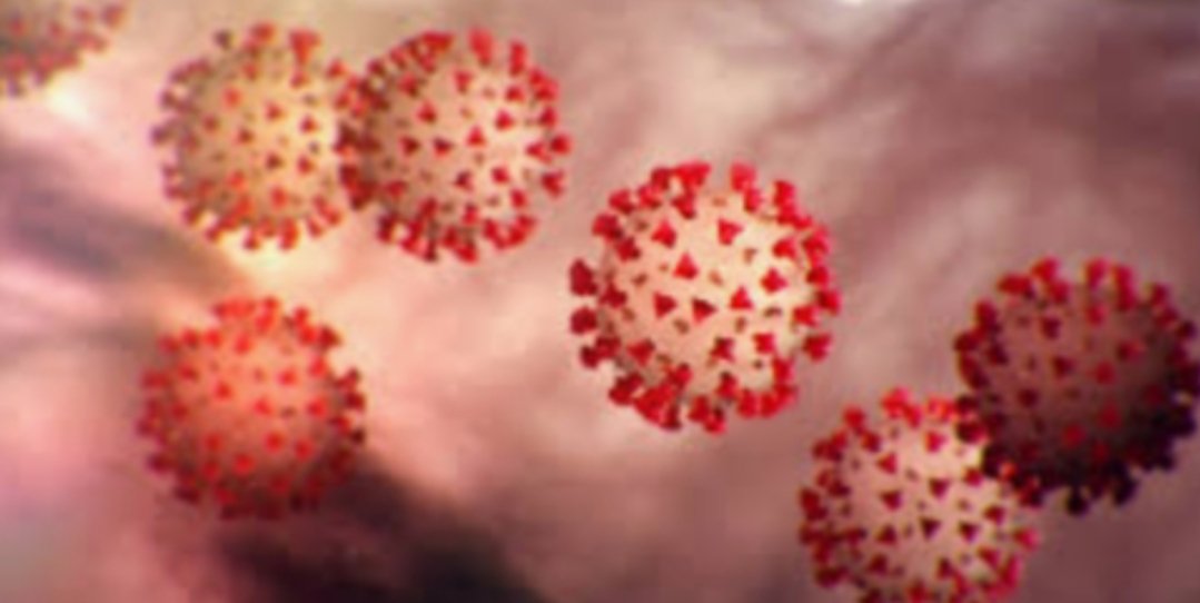 Adarsh Maharashtra | Coronavirus :-अमेरिकेत कोरोनाचे थैमान! कोरोनाग्रस्तांचा आकडा 8 लाखांवर, 49,845 जणांचा...